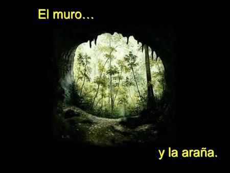 El muro… y la araña..