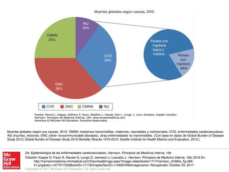 Muertes globales según sus causas, 2010