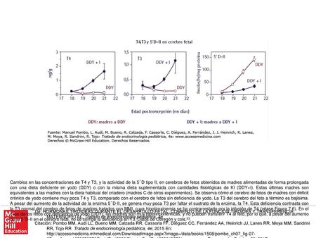 Cambios en las concentraciones de T4 y T3, y la actividad de la 5´D tipo II, en cerebros de fetos obtenidos de madres alimentadas de forma prolongada con.