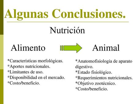 Algunas Conclusiones. Nutrición Alimento Animal