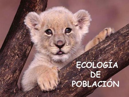 ECOLOGÍA DE POBLACIÓN.