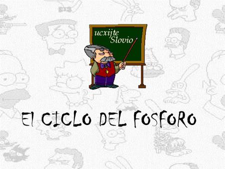 El CICLO DEL FOSFORO.