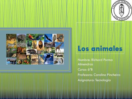 Los animales Nombre: Richard Porma Almendras Curso: 6ºB