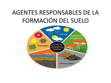 AGENTES RESPONSABLES DE LA FORMACIÓN DEL SUELO