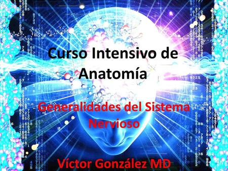 Curso Intensivo de Anatomía