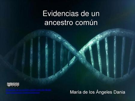 Evidencias de un ancestro común
