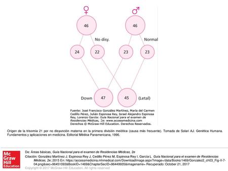 Origen de la trisomía 21 por no disyunción materna en la primera división meiótica (causa más frecuente). Tomada de Solari AJ. Genética Humana. Fundamentos.