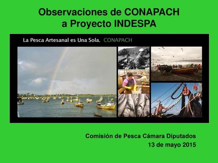 Observaciones de CONAPACH a Proyecto INDESPA