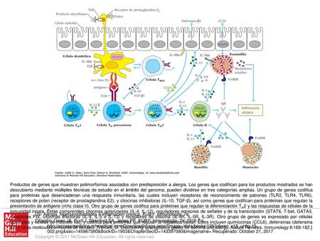 Productos de genes que muestran polimorfismos asociados con predisposición a alergia. Los genes que codifican para los productos mostrados se han descubierto.