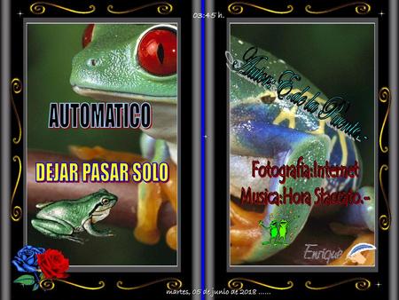 Musica:Hora Staccato.-