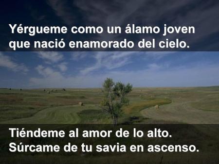 Yérgueme como un álamo joven que nació enamorado del cielo.