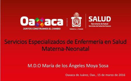 Servicios Especializados de Enfermería en Salud Materna-Neonatal