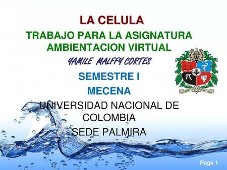 TRABAJO PARA LA ASIGNATURA AMBIENTACION VIRTUAL