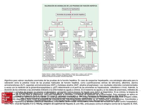 Algoritmo para valorar resultados anormales de las pruebas de la función hepática. En caso de sospechar hepatopatía, una estrategia adecuada para la valoración.