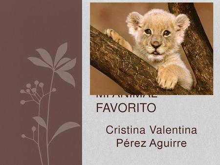 Cristina Valentina Pérez Aguirre