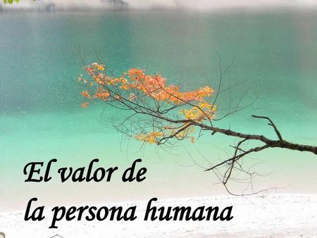 El valor de  la persona humana