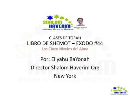 LIBRO DE SHEMOT – EXODO #44