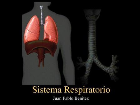 Sistema Respiratorio Juan Pablo Benitez.