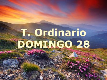 T. Ordinario DOMINGO 28.