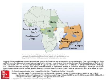 Izquierda: Sitios geográficos en que se han identificado especies de Ebolavirus, que se representan con puntos (amarillo, Zaire; verde, Sudán; rojo, Costa.