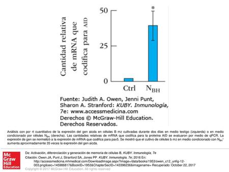 Análisis con pcr rt cuantitativo de la expresión del gen aicda en células B mz cultivadas durante dos días en medio testigo (izquierda) o en medio condicionado.
