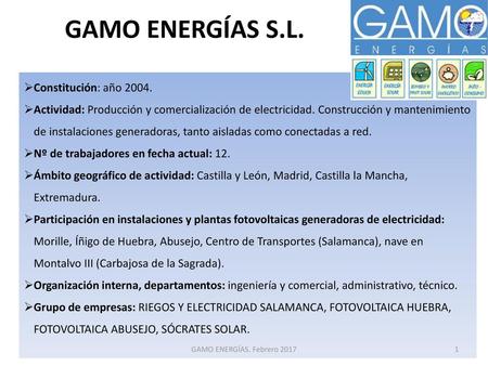 GAMO ENERGÍAS S.L. Constitución: año 2004.