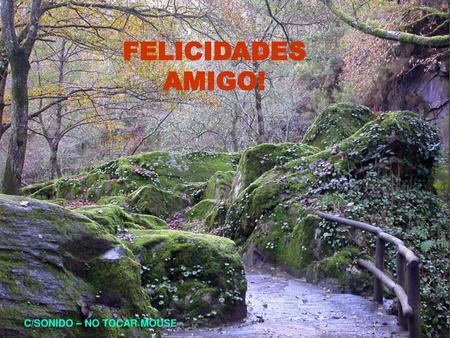 FELICIDADES AMIGO! C/SONIDO – NO TOCAR MOUSE.