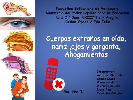 Cuerpos extraños en oído, nariz ,ojos y garganta, Ahogamientos