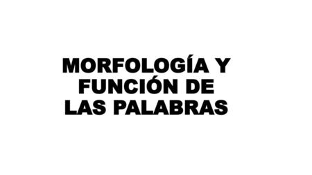 MORFOLOGÍA Y FUNCIÓN DE LAS PALABRAS