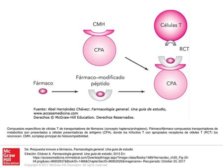 Compuestos específicos de células T de transportadores de fármacos (concepto hapteno/prohapteno). Fármaco/fármaco compuestos transportadores de metabolitos.
