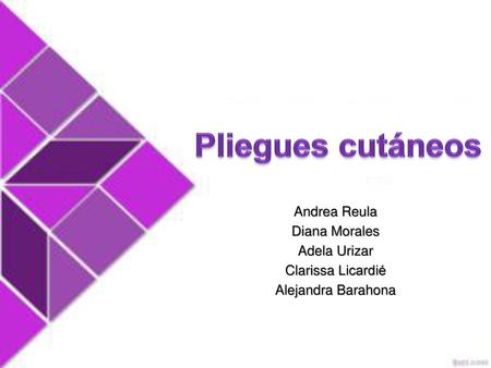 Pliegues cutáneos Andrea Reula Diana Morales Adela Urizar
