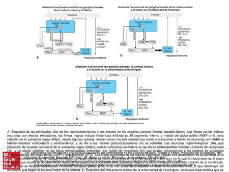 A. Esquema de las principales vías de los neurotransmisores y sus efectos en los circuitos corteza-núcleos basales-tálamo. Las líneas azules indican neuronas.