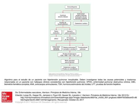 Algoritmo para el estudio de un paciente con hipertensión pulmonar inexplicable. Deben investigarse todas las causas potenciales y trastornos relacionados.