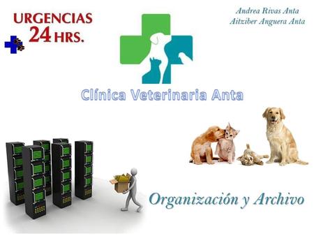 Organización y Archivo