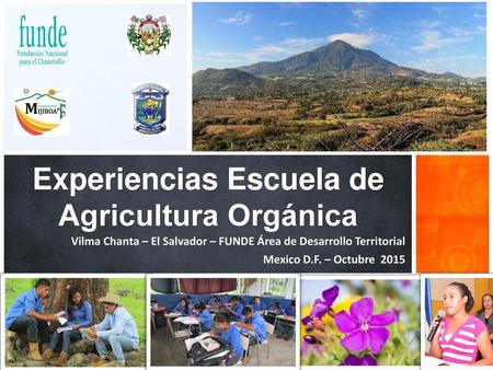 Experiencias Escuela de Agricultura Orgánica