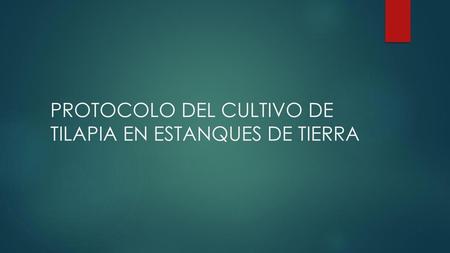 PROTOCOLO DEL CULTIVO DE TILAPIA EN ESTANQUES DE TIERRA