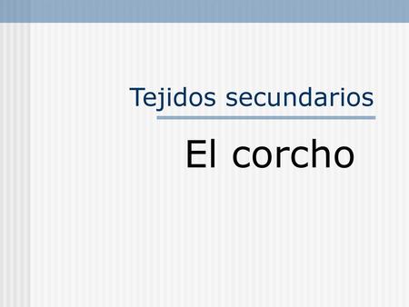 Tejidos secundarios El corcho.