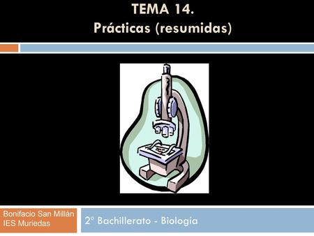 TEMA 14. Prácticas (resumidas)