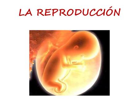 LA REPRODUCCIÓN.