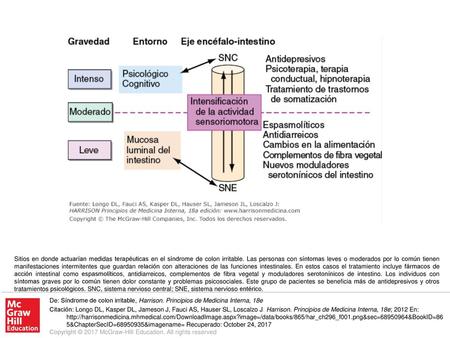 Sitios en donde actuarían medidas terapéuticas en el síndrome de colon irritable. Las personas con síntomas leves o moderados por lo común tienen manifestaciones.