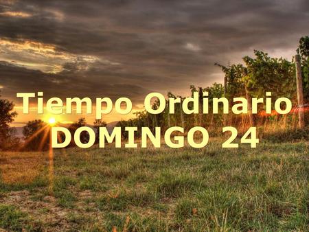 Tiempo Ordinario DOMINGO 24.