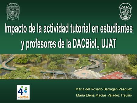 Impacto de la actividad tutorial en estudiantes