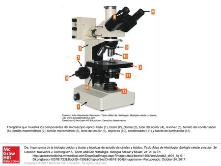 Fotografía que muestra los componentes del microscopio óptico: base (1), brazo (2), platina (3), tubo del ocular (4), revólver (5), tornillo del condensador.