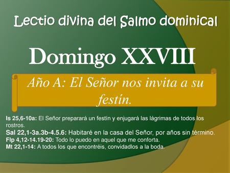 Lectio divina del Salmo dominical