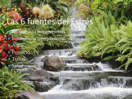 Las 6 fuentes del Estrés Inteligencia intrapersonal.