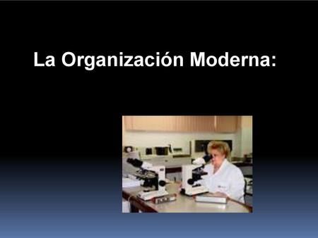 La Organización Moderna: