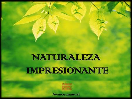 NATURALEZA IMPRESIONANTE
