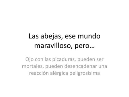 Las abejas, ese mundo maravilloso, pero…