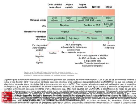 Algoritmo para estratificación del riesgo y tratamiento de pacientes con sospecha de enfermedad coronaria. Con el uso de los antecedentes médicos y sobre.