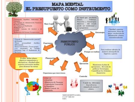 EL PRESUPUESTO COMO INSTRUMENTO Organismos que intervienen